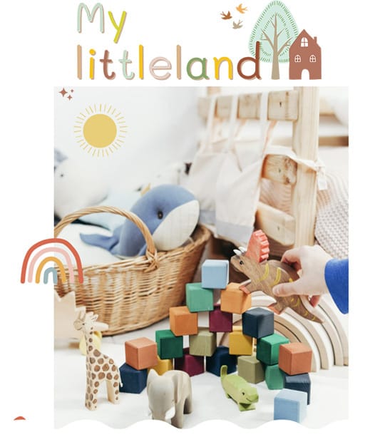Κατασκευή Eshop Παιχνιδιών – My Littleland
